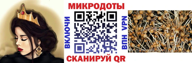 Псилоцибиновые грибы Psilocybine cubensis Володарск